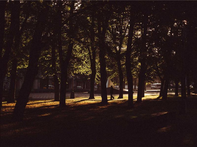 Siedlung Weidenhof