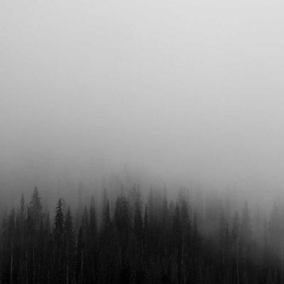 Talblickkollektiv