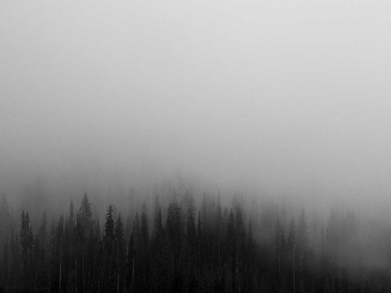 Talblickkollektiv
